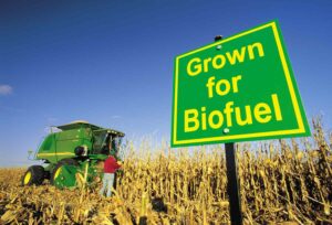 Read more about the article EPA’s 2023 Ethanol Directive: A Deep Dive into Biofuel Policy